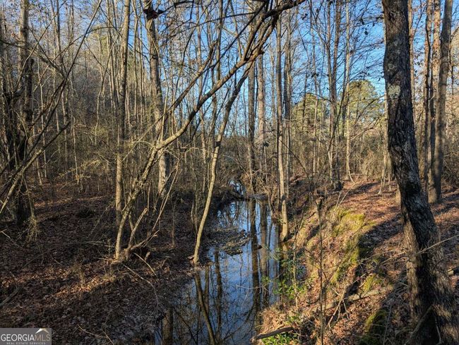 0 Ridgeway Rd, Home with 0 bedrooms, 0 bathrooms and null parking in Trion GA | Image 17
