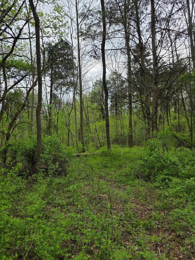 0 State Road 129, Home with 0 bedrooms, 0 bathrooms and null parking in Vevay IN | Image 4