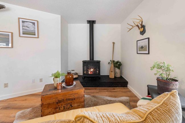 Gas Fireplace | Image 24