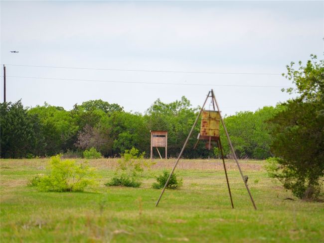 View of yard | Image 27