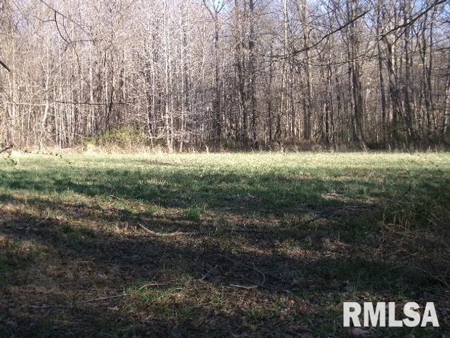 2225 Route 34, House other with 4 bedrooms, 2 bathrooms and null parking in Rosiclare IL | Image 58