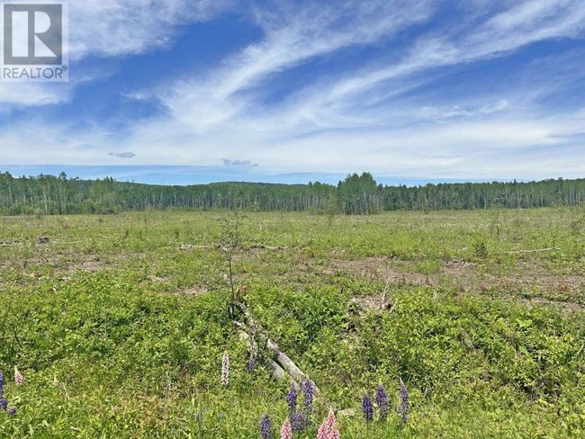 3 Larson Rd, Home with 0 bedrooms, 0 bathrooms and null parking in Neebing ON | Image 19