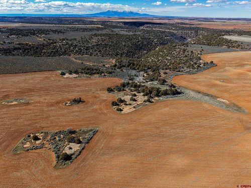 3995 County Road P, Dove Creek, CO, 81324 | Card Image