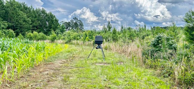 View of undeveloped land | Image 29