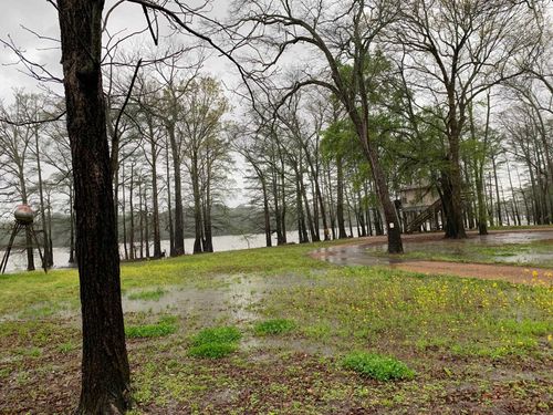 0 Chisholm Lake Rd, Ripley, TN, 38063 | Card Image