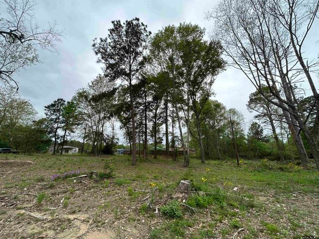 513 State Highway 323 E, Home with 0 bedrooms, 0 bathrooms and null parking in Overton TX | Image 5