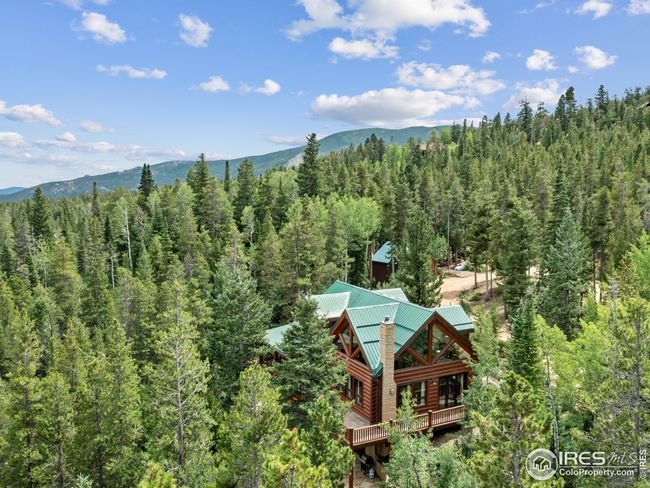 287 S Skinner Rd, House other with 2 bedrooms, 3 bathrooms and null parking in Allenspark CO | Image 33