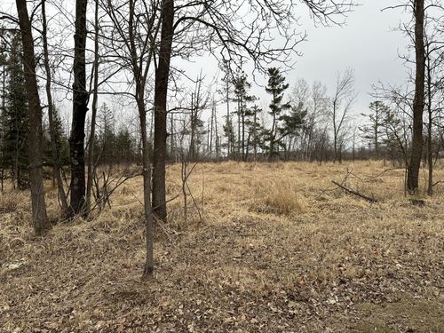 3 7th Street, Weyerhaeuser, WI, 54895 | Card Image