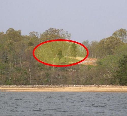 383 Thief Neck View Dr, Rockwood, TN, 37854 | Card Image