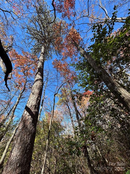 Lot 3 and 4 Oriole Road, Brevard, NC, 28712 | Card Image
