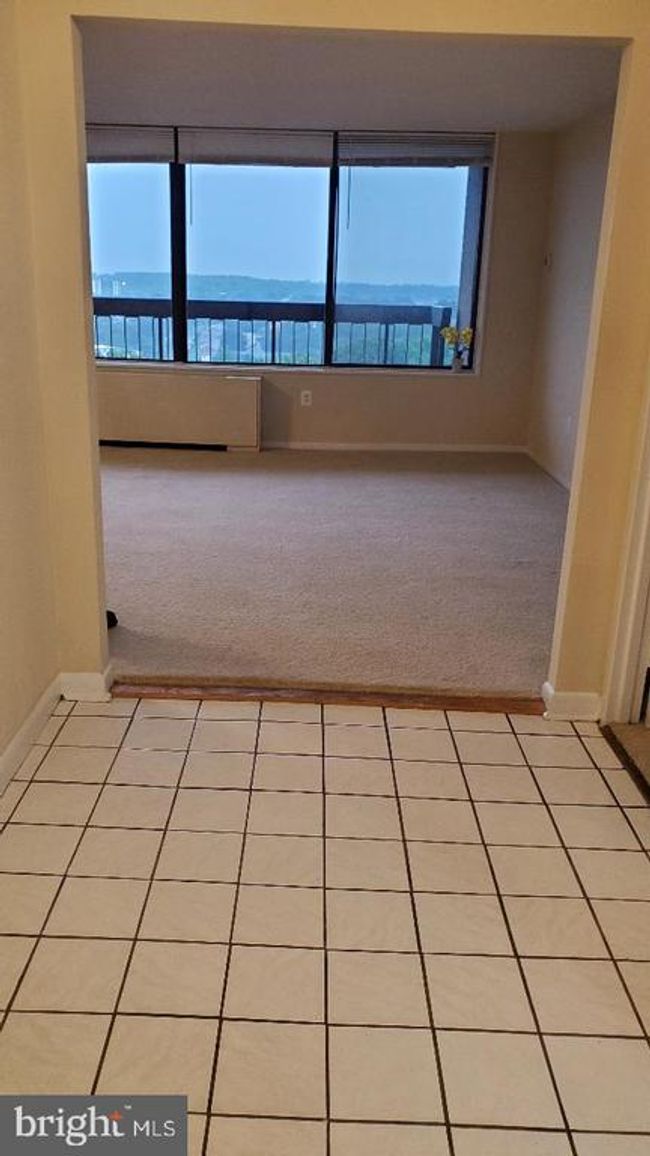 1311 - 3705 S George Mason Dr, Condo with 2 bedrooms, 2 bathrooms and null parking in FALLS CHURCH VA | Image 34