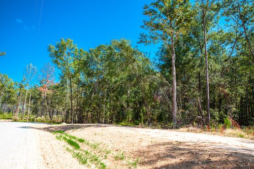 555 Rabbit Pen Drive, Appling, GA, 30802 | Card Image