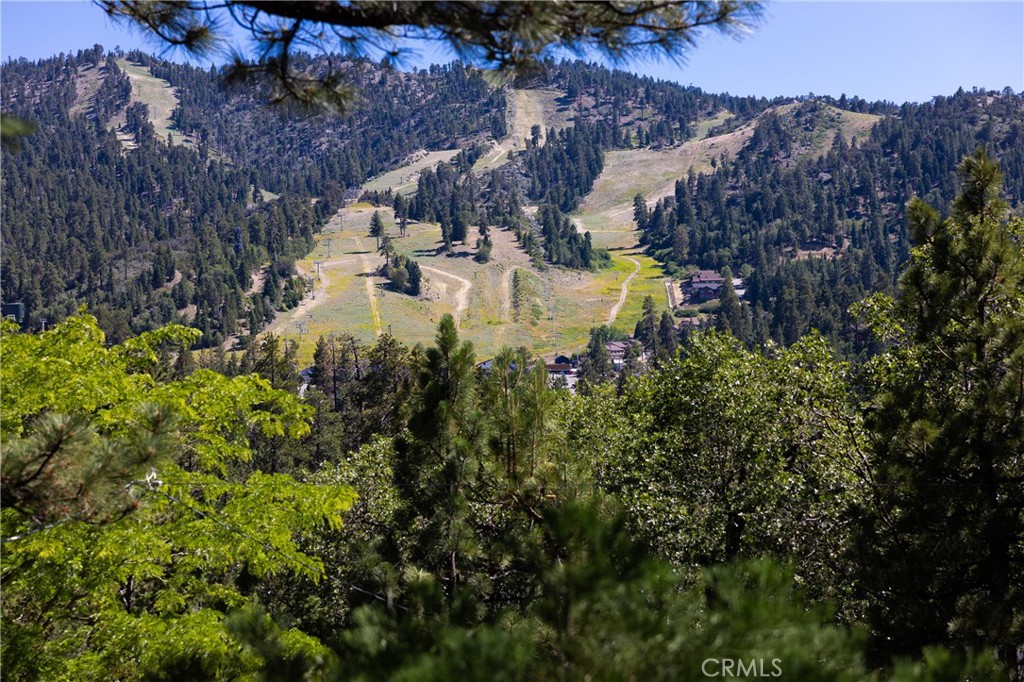 Residential in Big Bear Lake 3