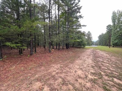 Lot 39 Crockett Road, Home with 0 bedrooms, 0 bathrooms and null parking in Greers Ferry AR | Image 3