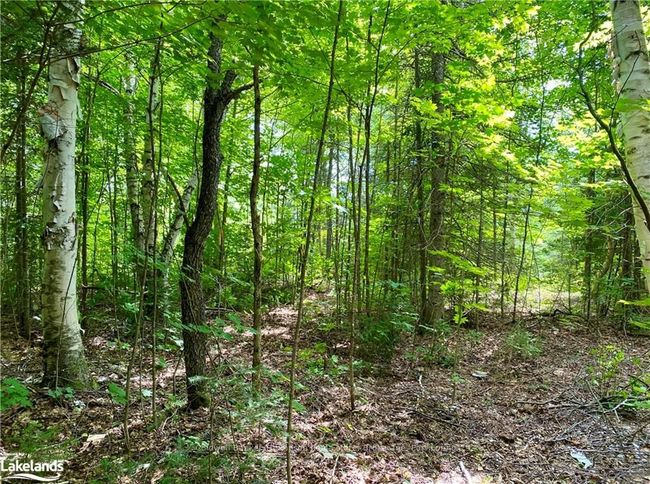 22-A Maple Dr, Home with 0 bedrooms, 0 bathrooms and null parking in Loring ON | Image 5