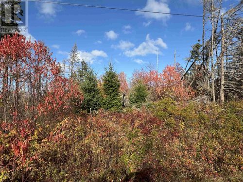 Lot Willow Lane, Priest Pond, PE, C0A2B0 | Card Image