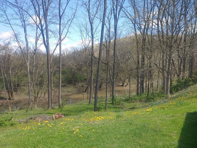 1105 Tennyson Rd, House other with 3 bedrooms, 2 bathrooms and null parking in Piketon OH | Image 28