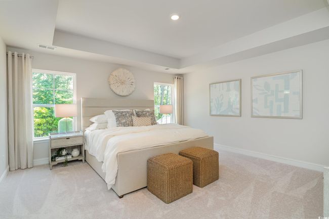 Bedroom featuring visible vents, baseboards, light colored carpet, and a raised ceiling | Image 16