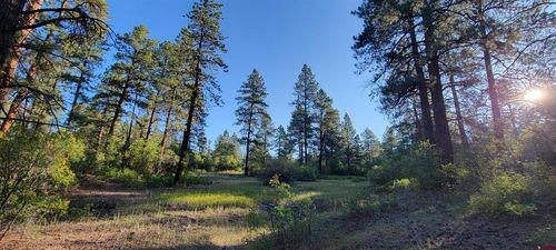 Lot 5 Beaver Creek Ranch Dr, Bayfield, CO, 81122 | Card Image