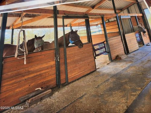 5552 S Beehive Ave, Tucson, AZ, 85746-9335 | Card Image