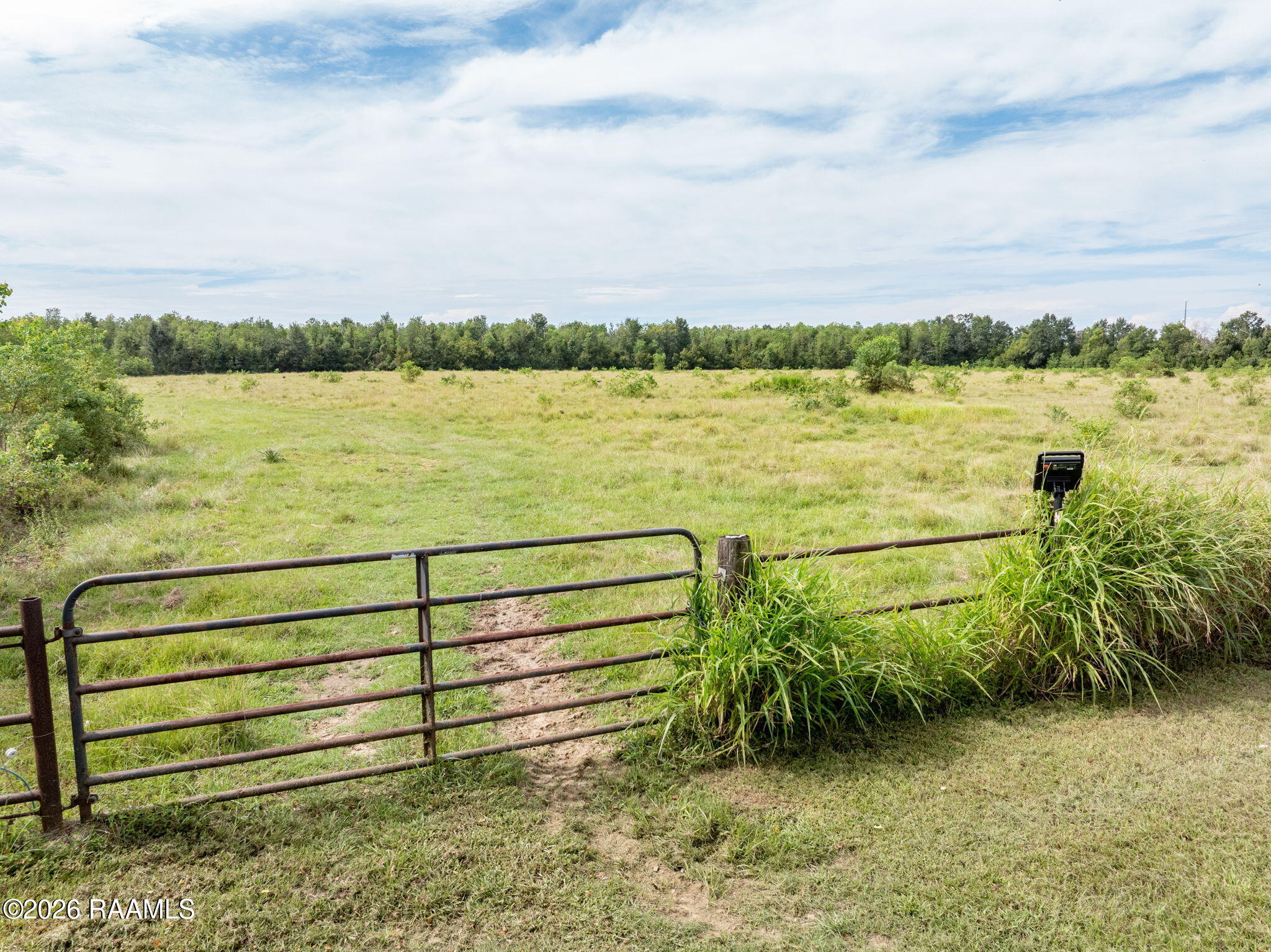 Land in Carencro 5