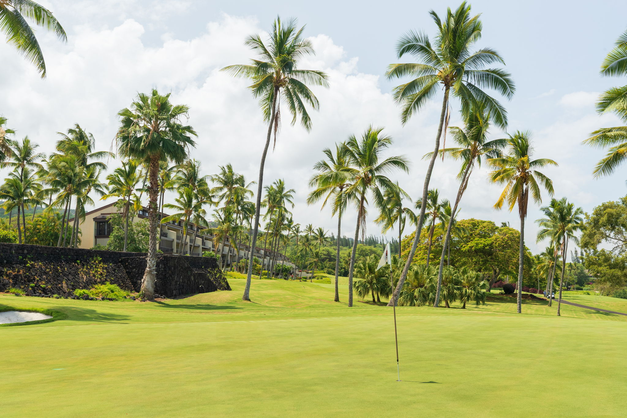 Residential in Kailua Kona 3