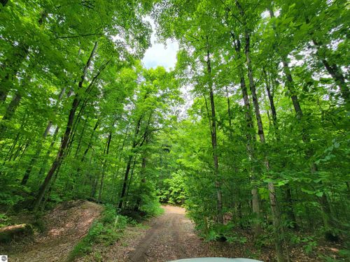 Parcel 4 Stark Road, Mancelona, MI, 49659 | Card Image
