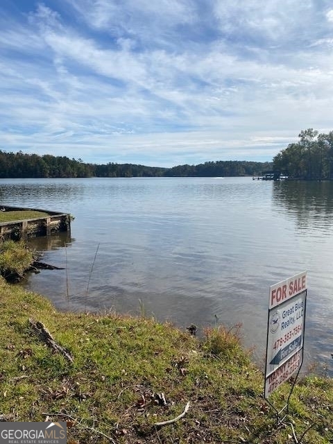 Steel Bridge Rd, Eatonton, GA 31024 #1