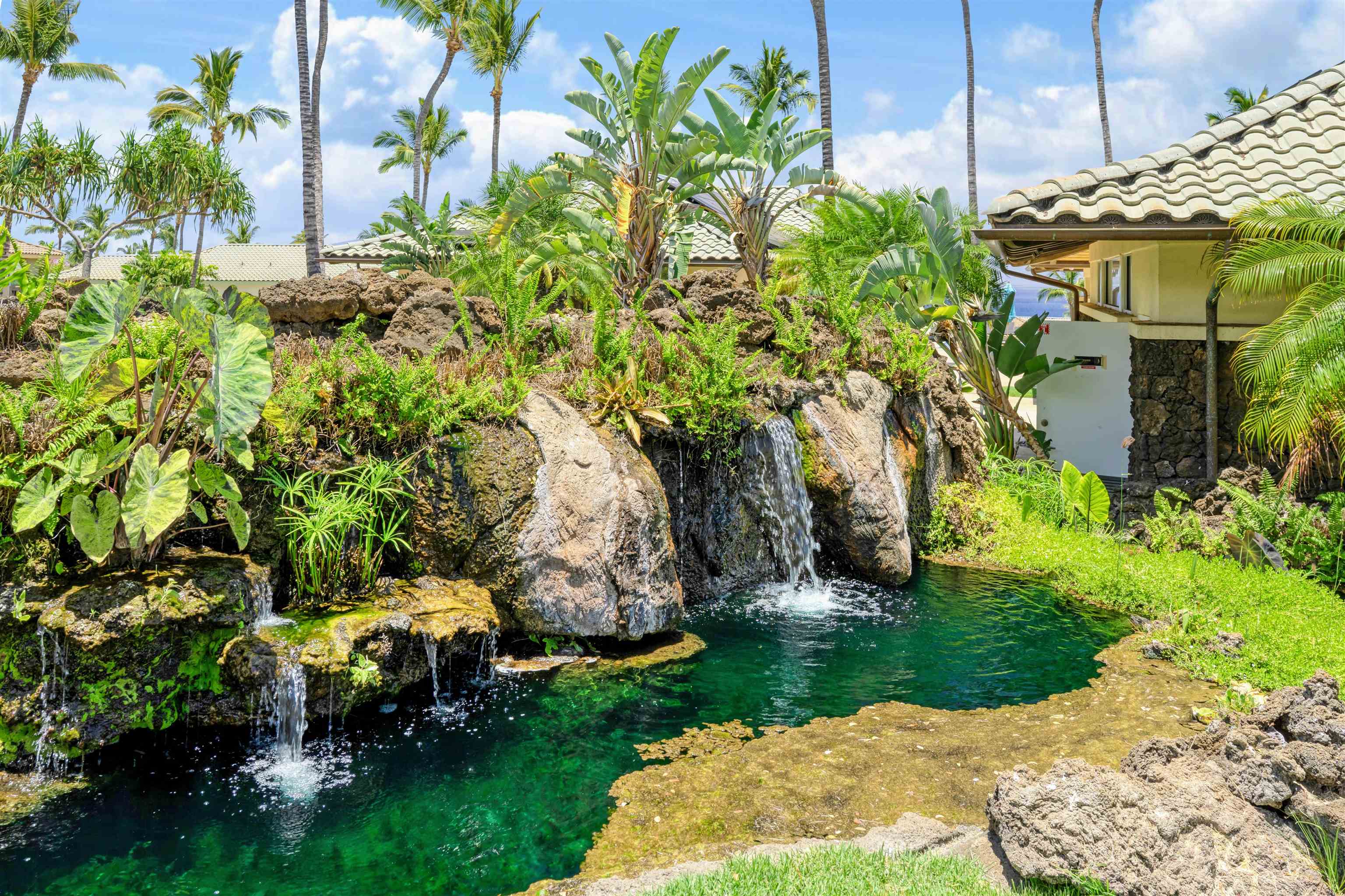 Residential in Kihei 4