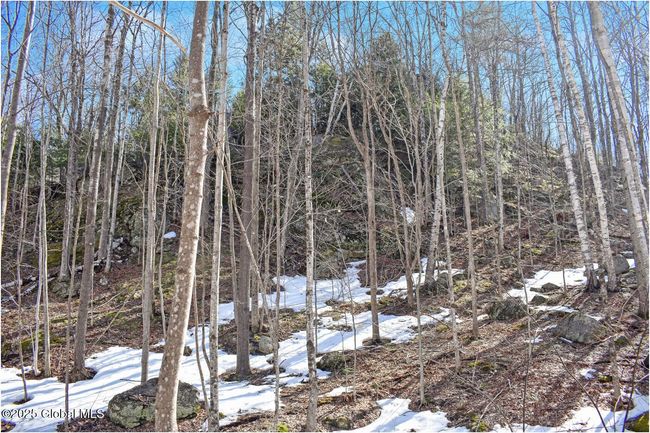 48 Durkin Rd, Home with 0 bedrooms, 0 bathrooms and null parking in North Creek NY | Image 40
