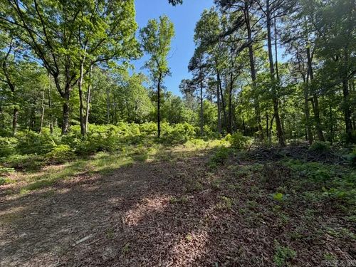 00 Earnie Woods Road, Rose Bud, AR, 72137 | Card Image