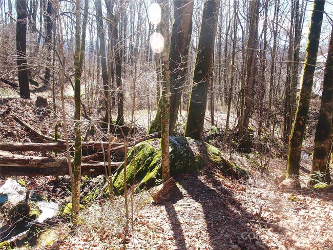 664 Woodfin Rd, House other with 2 bedrooms, 1 bathrooms and null parking in Sylva NC | Image 30