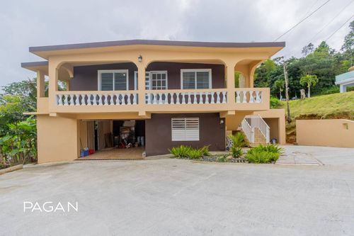 123 Caguas 3, CAGUAS, PR, 00725 | Card Image