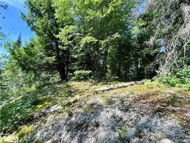 0 Concession 10 And 11 Road, Home with 0 bedrooms, 0 bathrooms and null parking in Parry Sound, Unorganized, Centre Part ON | Image 5