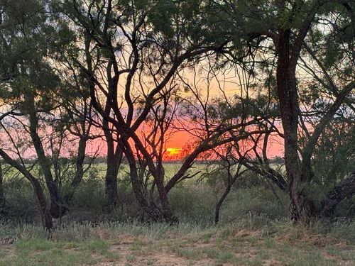 acres-156645-0 County Road 112, Ballinger, TX, 76821 | Card Image