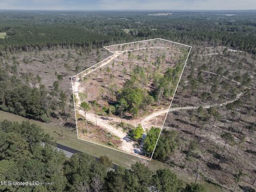 16.27 +/- Shirley Sanford Rd, Seminary, MS, 39479 | Card Image