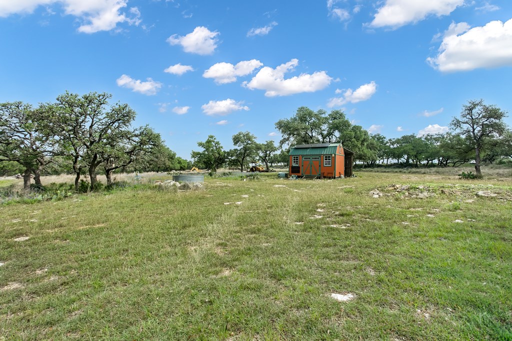 Farm in Kerrville 4