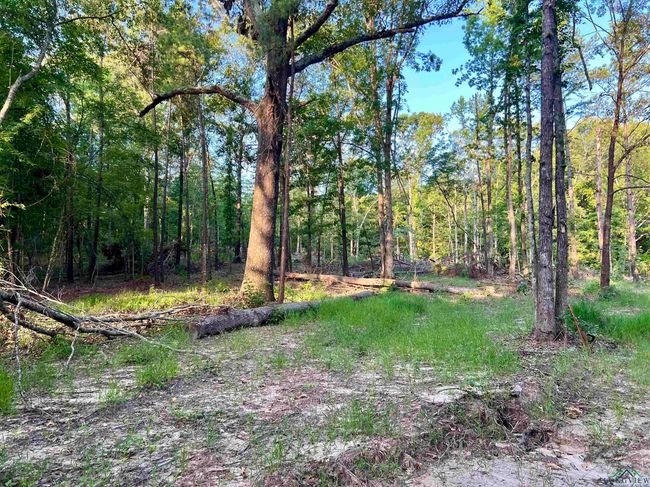 2735 Brandy Rd, Home with 0 bedrooms, 0 bathrooms and null parking in New Diana TX | Image 5
