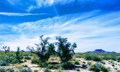 13779 S Carrow Rd, Yucca, AZ, 86438-1064 | Card Image