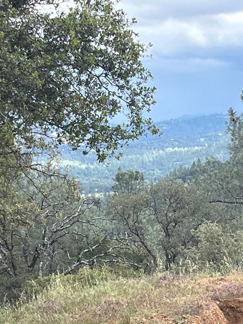 10811 Bell Rd, Penn Valley, CA, 95946-8951 | Card Image
