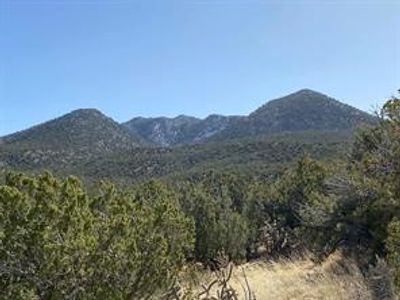 155 Cedar Mountain, Home with 0 bedrooms, 0 bathrooms and null parking in Cerrillos NM | Image 2