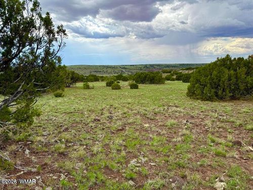 83 County Road 8128, Concho, AZ, 85924 | Card Image