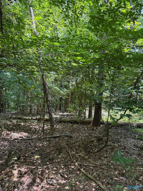 4 Parkwood Ln, Gadsden, AL, 35905 | Card Image