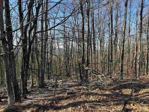 lot-171-mountainside-Lot 171 Frostline Court, Davis, WV, 26260 | Card Image