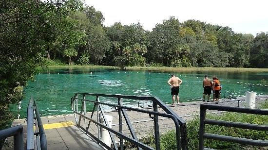 Land in Ocala 3
