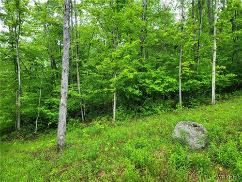 0 Main St, Swain, NY, 14884 | Card Image