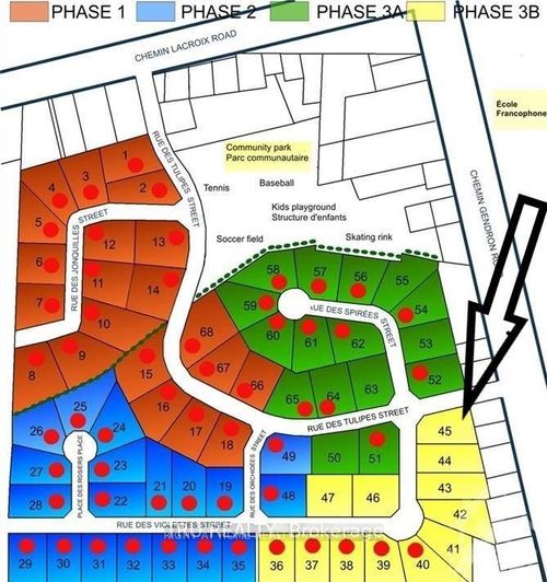 {{alt}} | Card Image