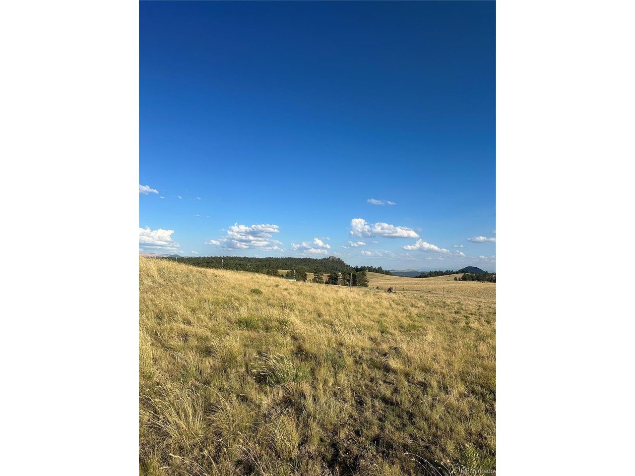 Land in Florissant 4