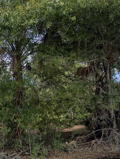 3439 Tiffiny Street, PUNTA GORDA, FL, 33980 | Card Image