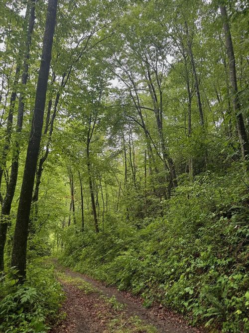 0 Summit Ridge Off Of Chestnut Cove Rd, Sylva, NC, 28779 | Card Image